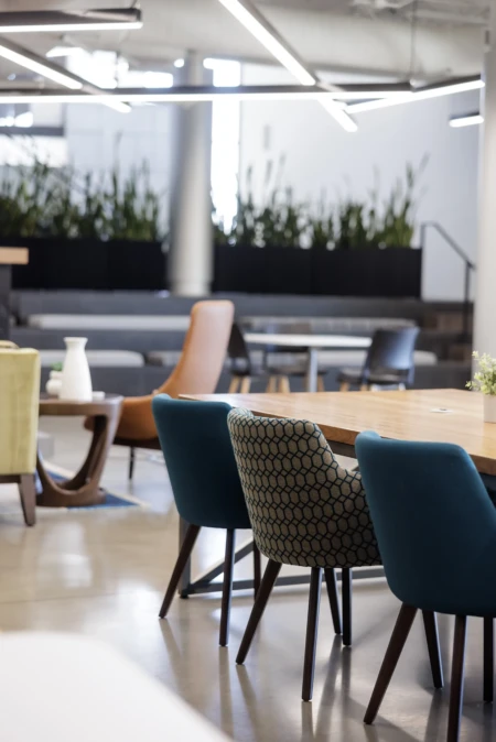 Stylish seating around a wooden table in a bright space.